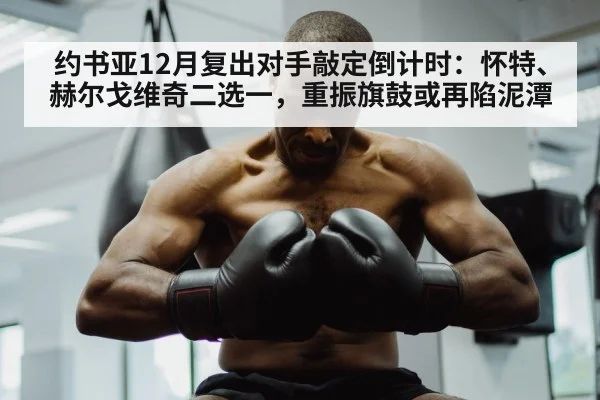 约书亚12月复出对手敲定倒计时：怀特、赫尔戈维奇二选一，重振旗鼓或再陷泥潭